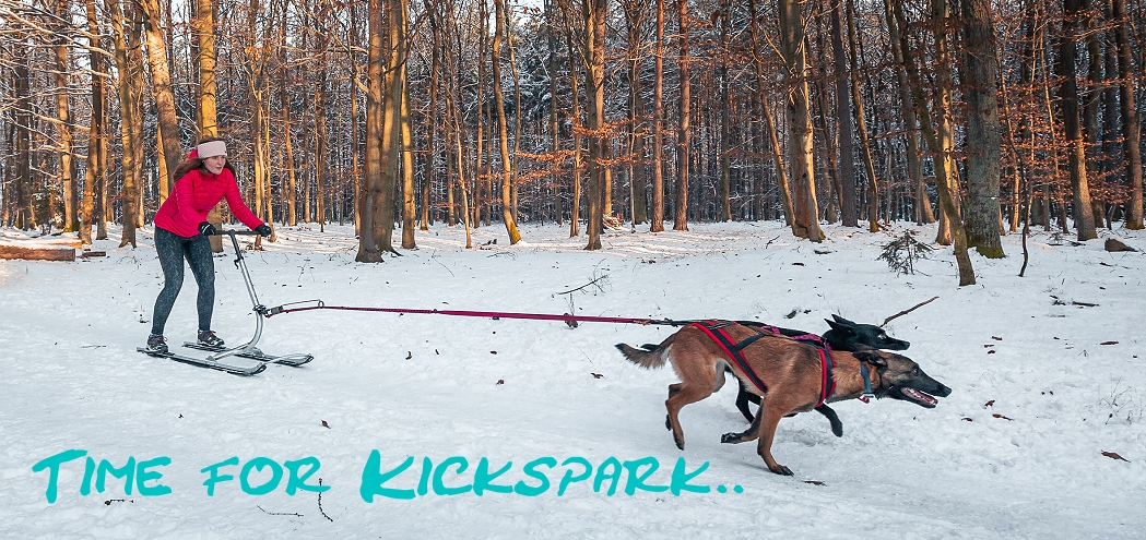 Kickspark Dog pulling